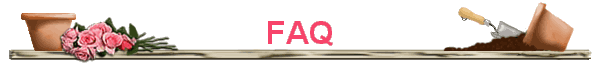FAQ